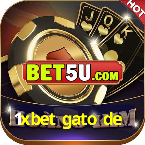 1xbet gato de