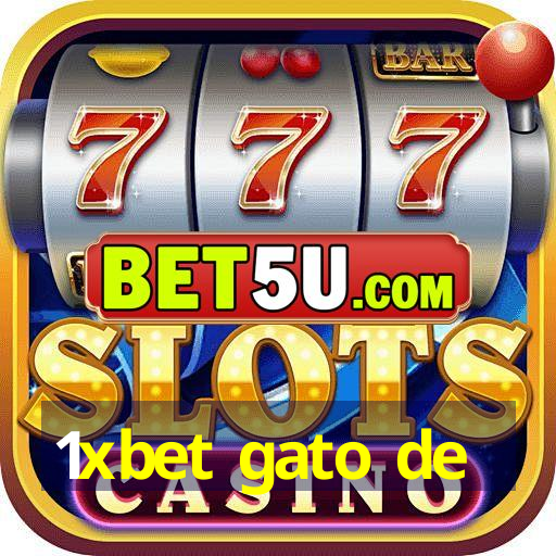 1xbet gato de