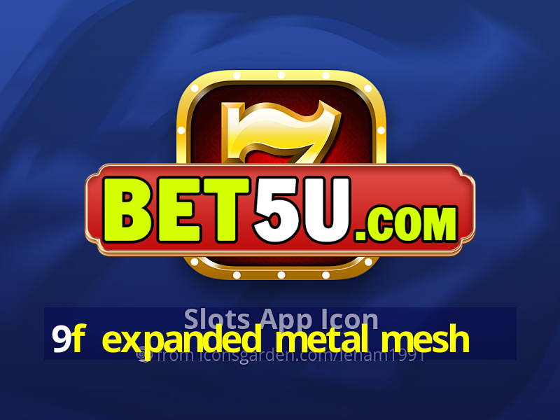 9f expanded metal mesh