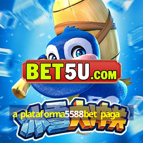 a plataforma5588bet paga