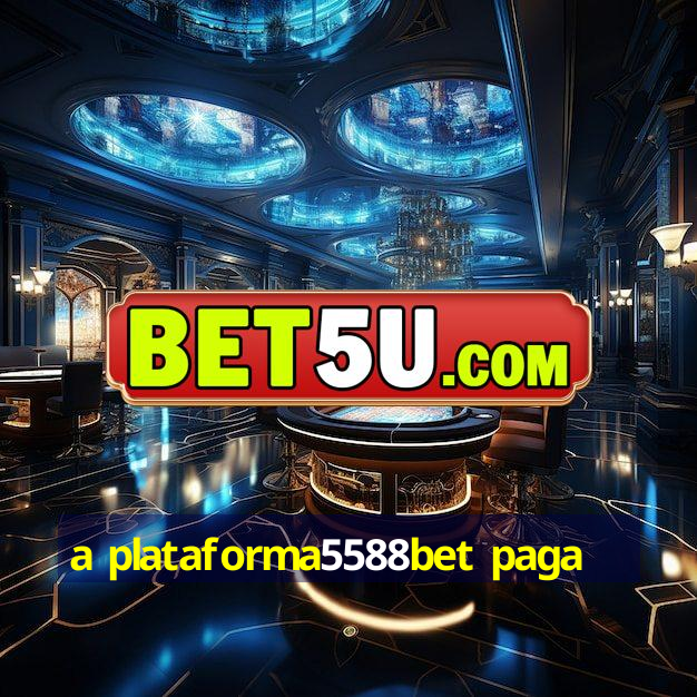 a plataforma5588bet paga