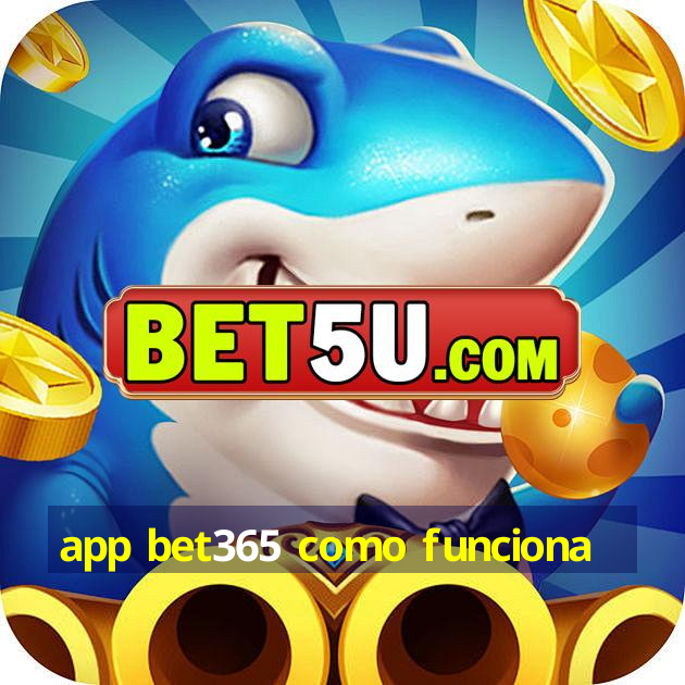 app bet365 como funciona