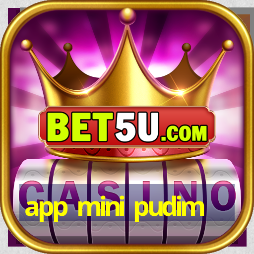 app mini pudim