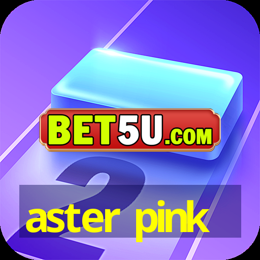 aster pink