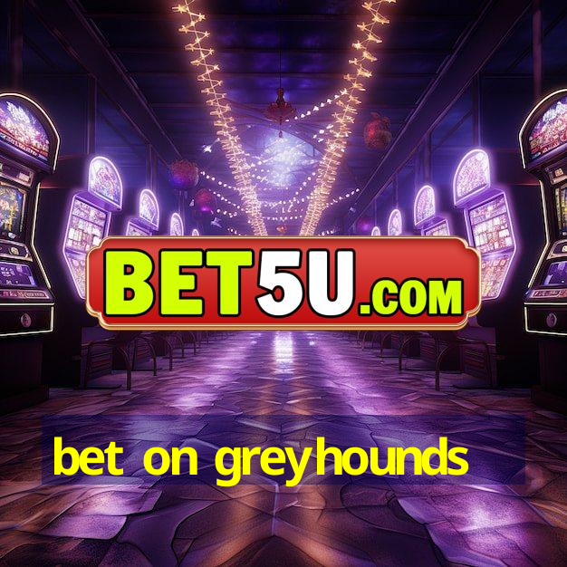 bet on greyhounds