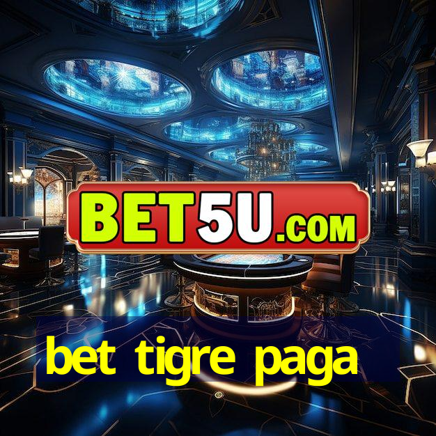 bet tigre paga