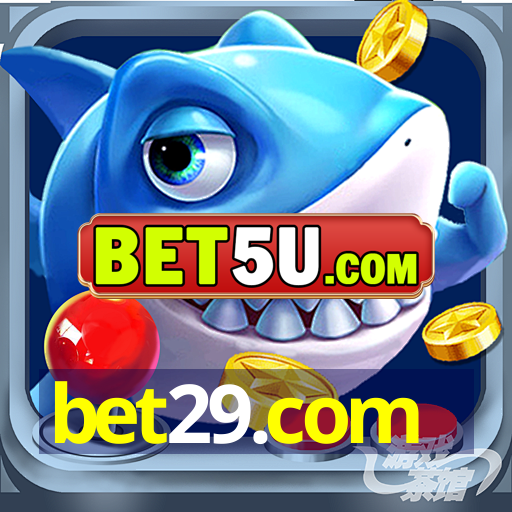 bet29.com