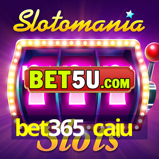 bet365 caiu