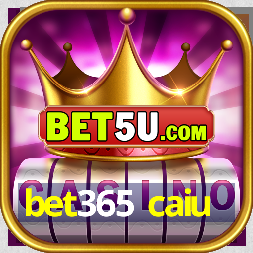 bet365 caiu