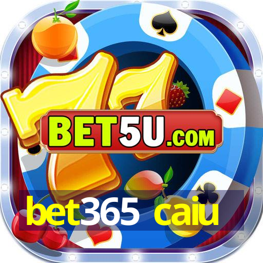 bet365 caiu