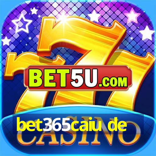 bet365caiu de