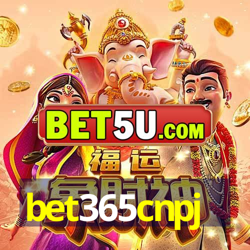 bet365cnpj