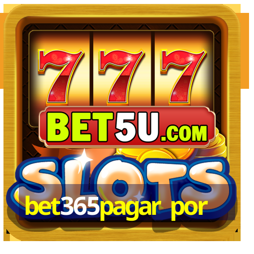 bet365pagar por