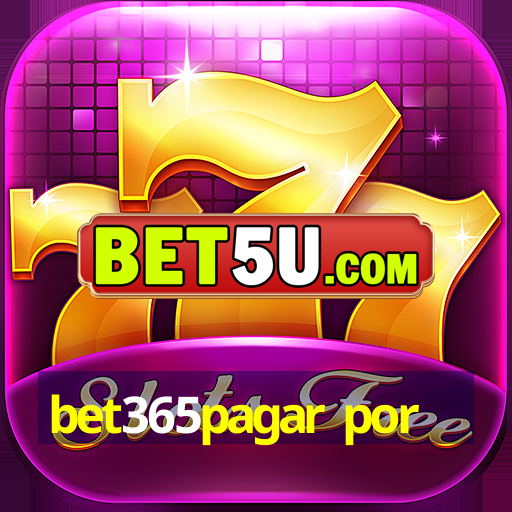 bet365pagar por