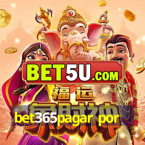 bet365pagar por