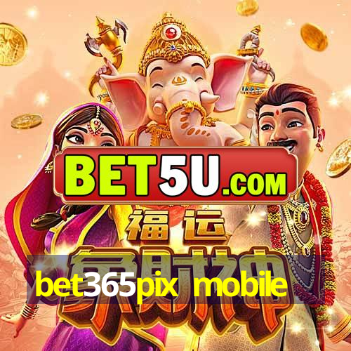 bet365pix mobile