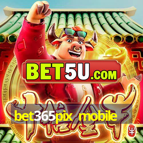 bet365pix mobile