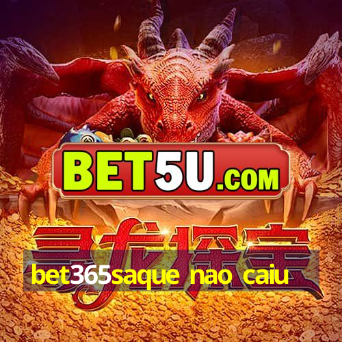 bet365saque nao caiu