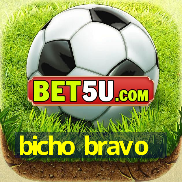 bicho bravo