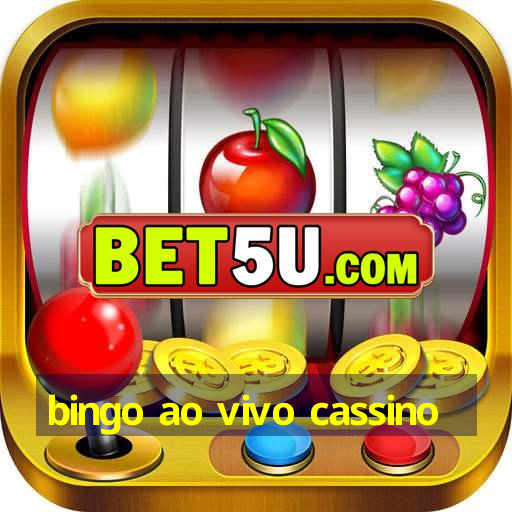 bingo ao vivo cassino