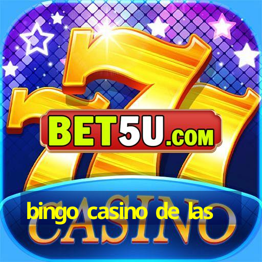 bingo casino de las