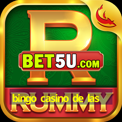 bingo casino de las