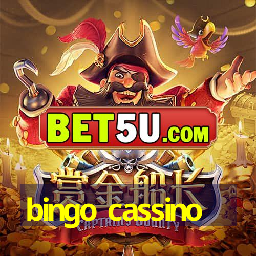 bingo cassino