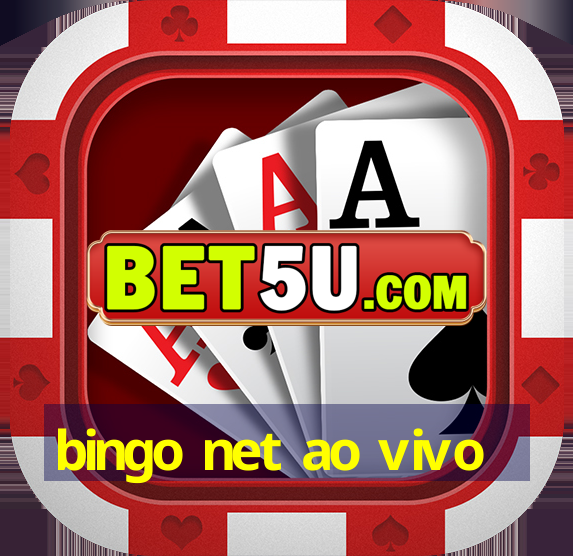 bingo net ao vivo