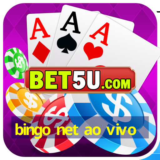 bingo net ao vivo