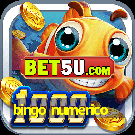 bingo numerico