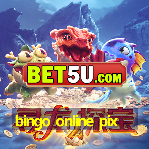 bingo online pix