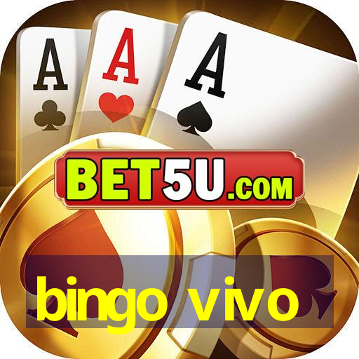 bingo vivo