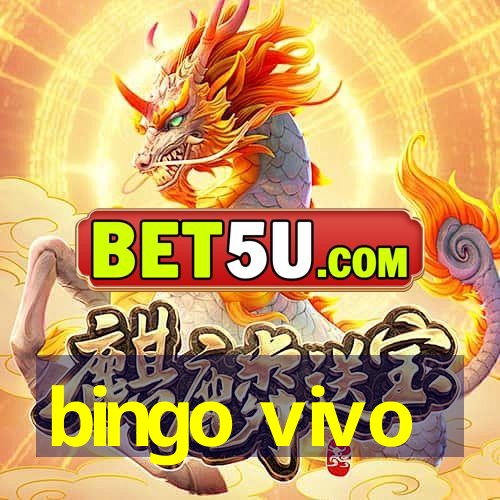 bingo vivo