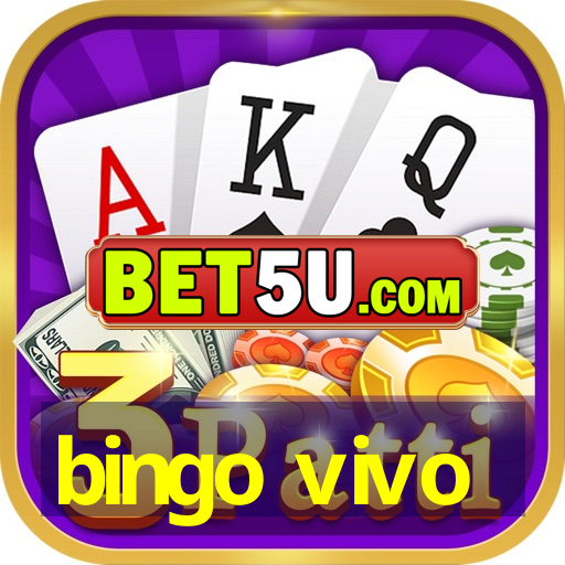 bingo vivo