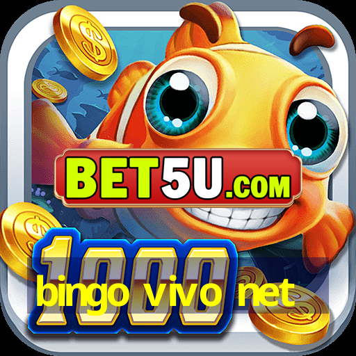 bingo vivo net