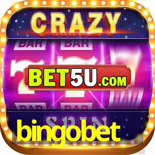 bingobet