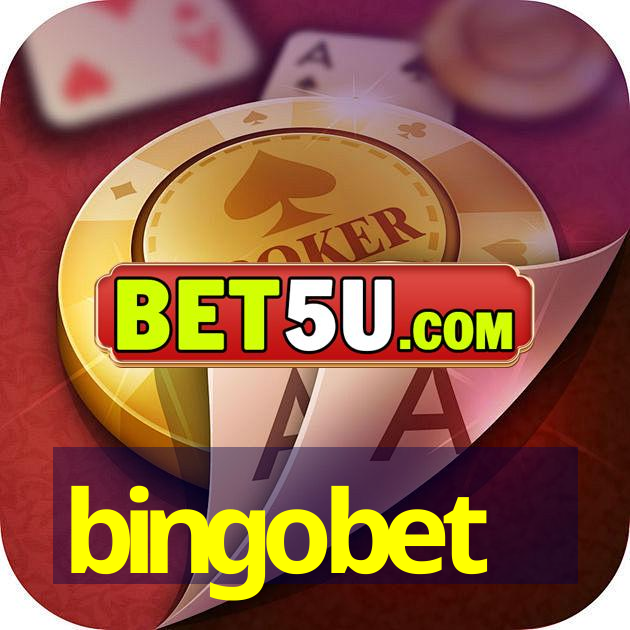 bingobet