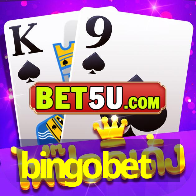 bingobet