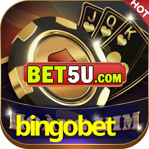 bingobet