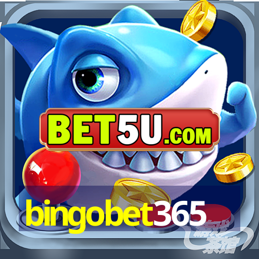 bingobet365