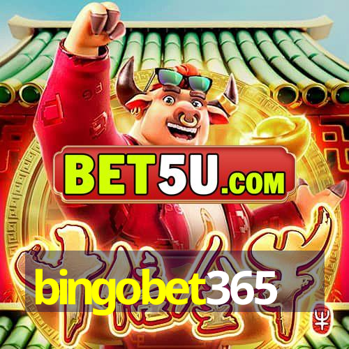 bingobet365