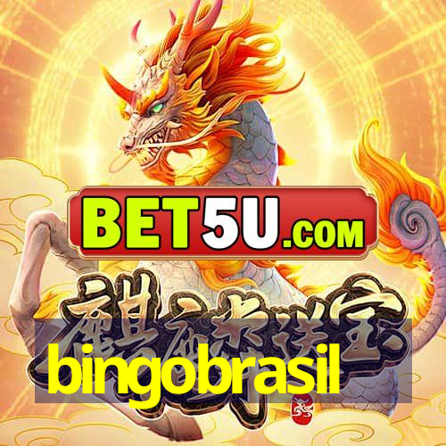 bingobrasil