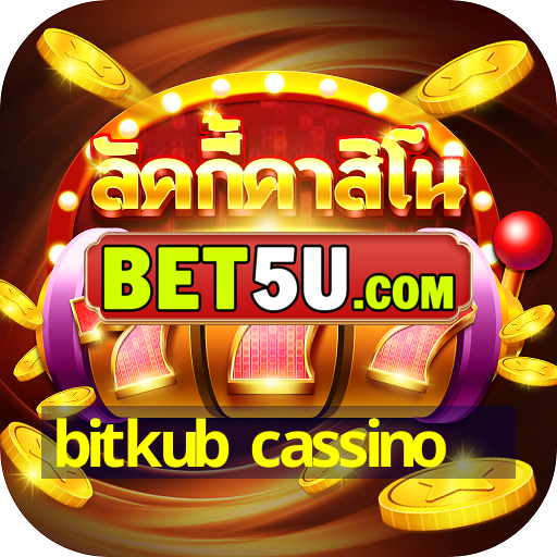 bitkub cassino