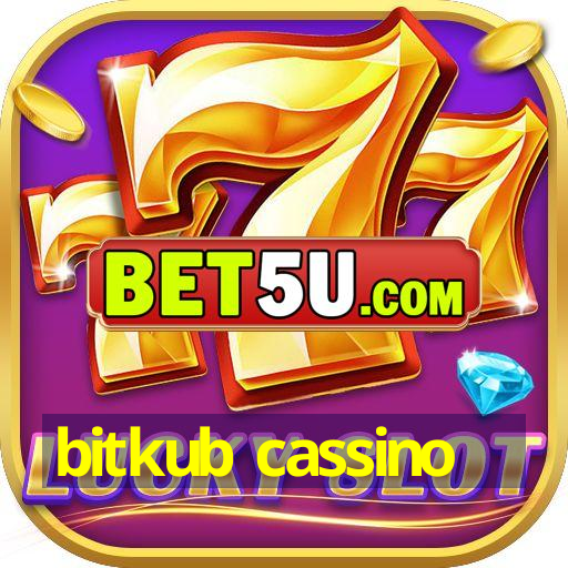 bitkub cassino