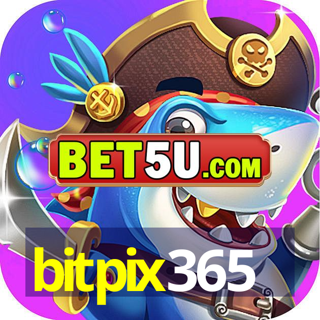 bitpix365