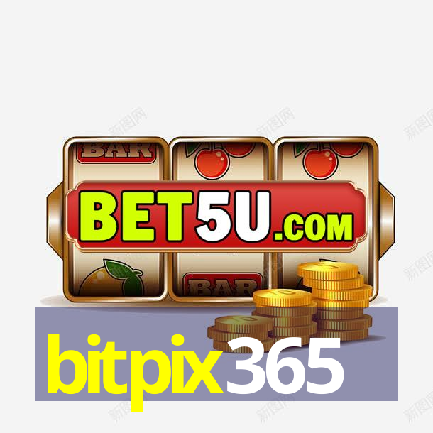 bitpix365