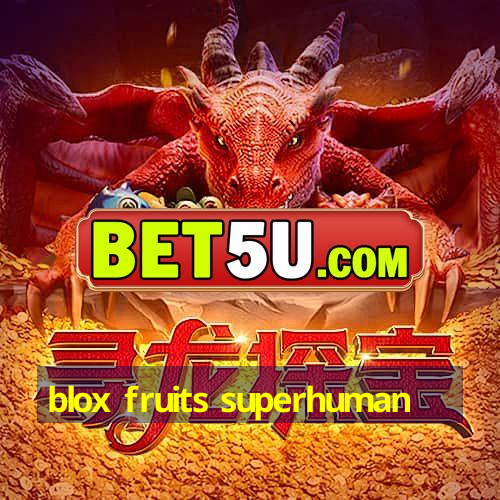 blox fruits superhuman