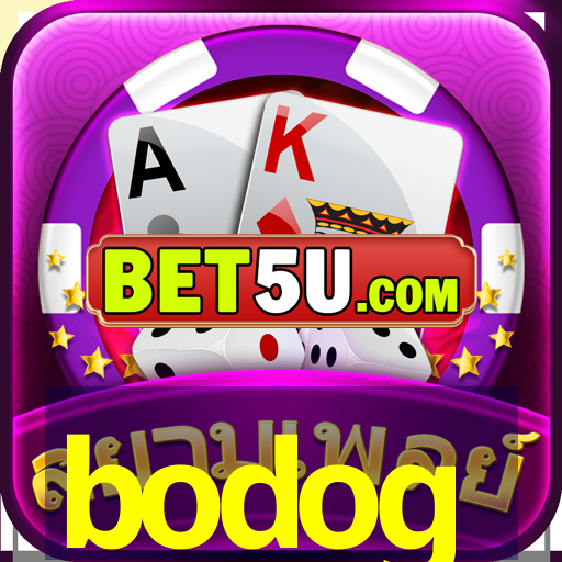 bodog