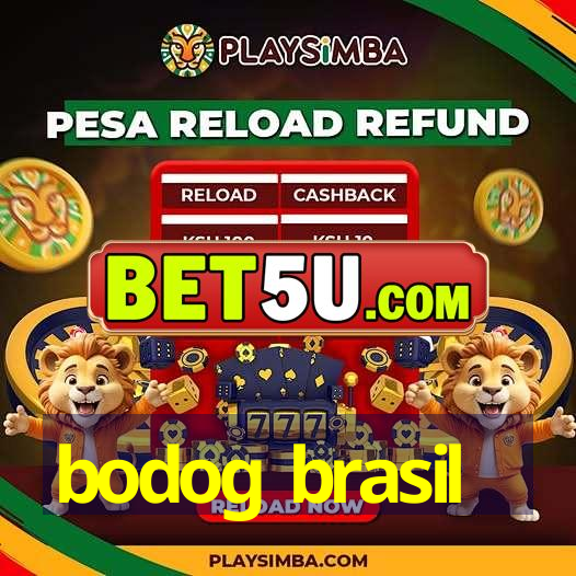 bodog brasil