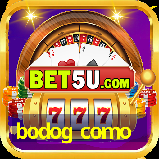 bodog como